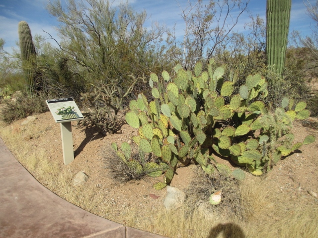Photo 095