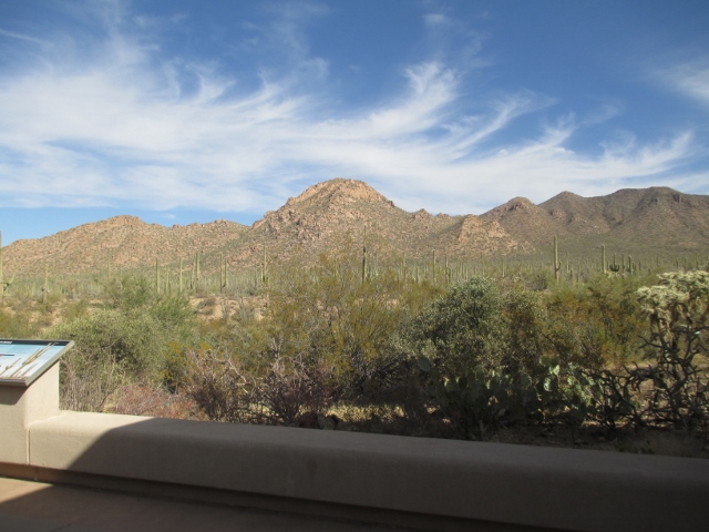 Photo 097