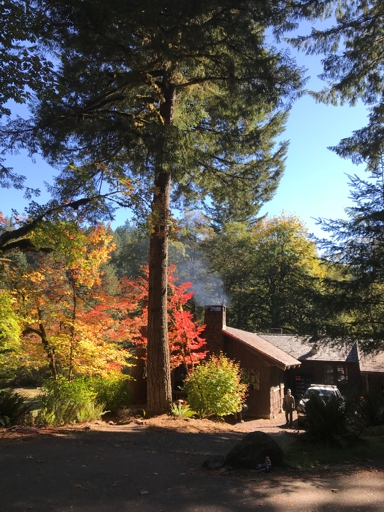 Lodge