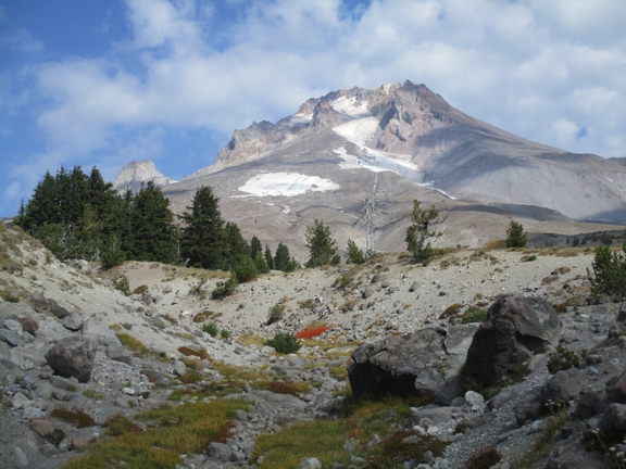 Mt Hood